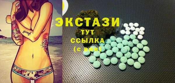 ECSTASY Бородино