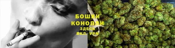 ECSTASY Бородино