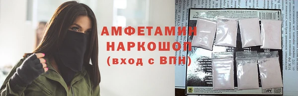ECSTASY Бородино