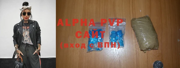 ECSTASY Бородино