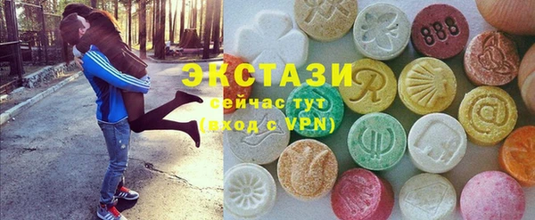 ECSTASY Бородино