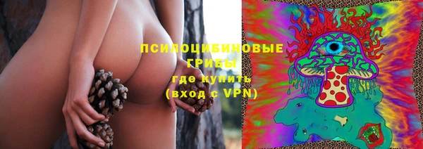 ECSTASY Бородино