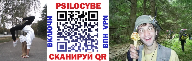 МЕГА ONION  Вичуга  Псилоцибиновые грибы Psilocybine cubensis 